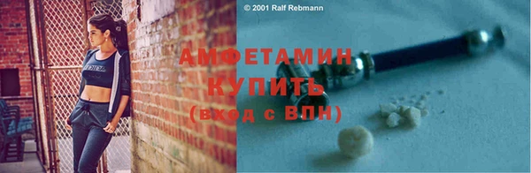 крисы Коряжма