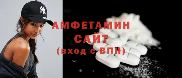 крисы Коряжма