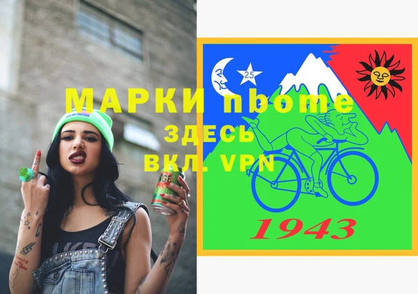 крисы Коряжма