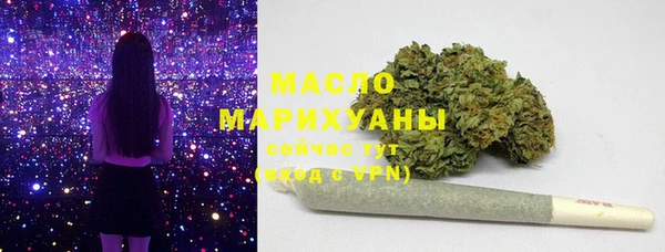 крисы Коряжма
