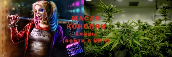 крисы Коряжма