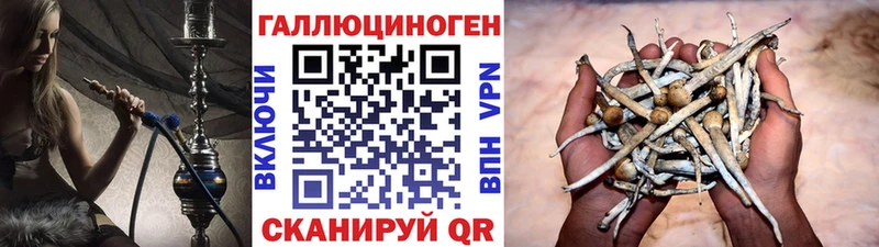 Галлюциногенные грибы ЛСД  Купить где  Анжеро-Судженск 